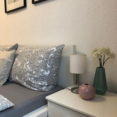 No2 Top Apartment4You - 3 Zimmer, 1-6 Pers, Saarbruecken - Jaegersfreude Σααρμπρύκεν Εξωτερικό φωτογραφία